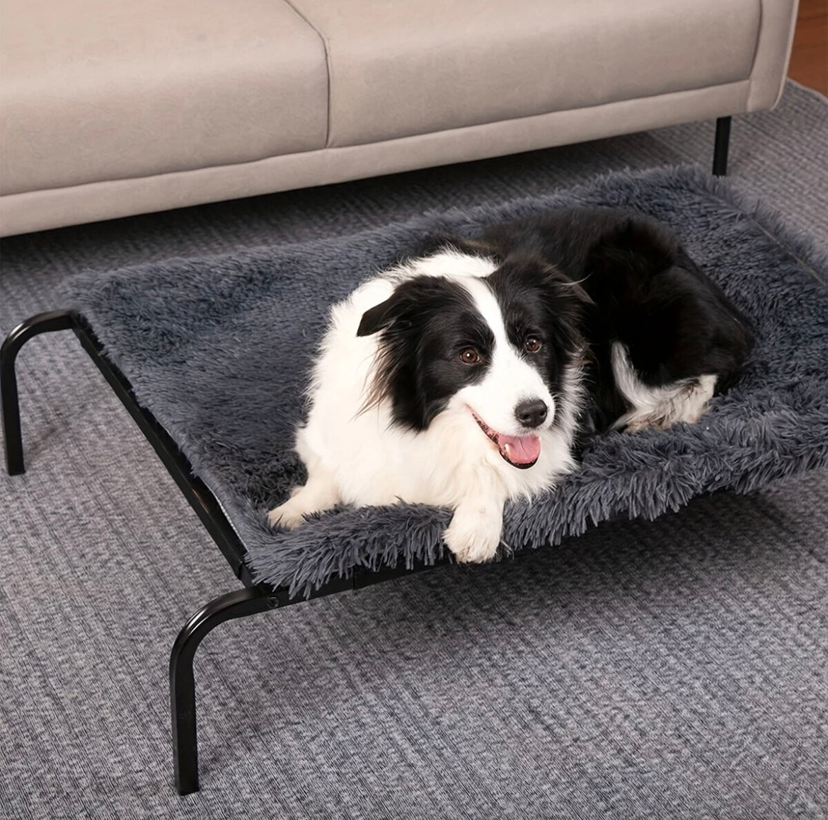Heavy Duty Raised Dog Bed