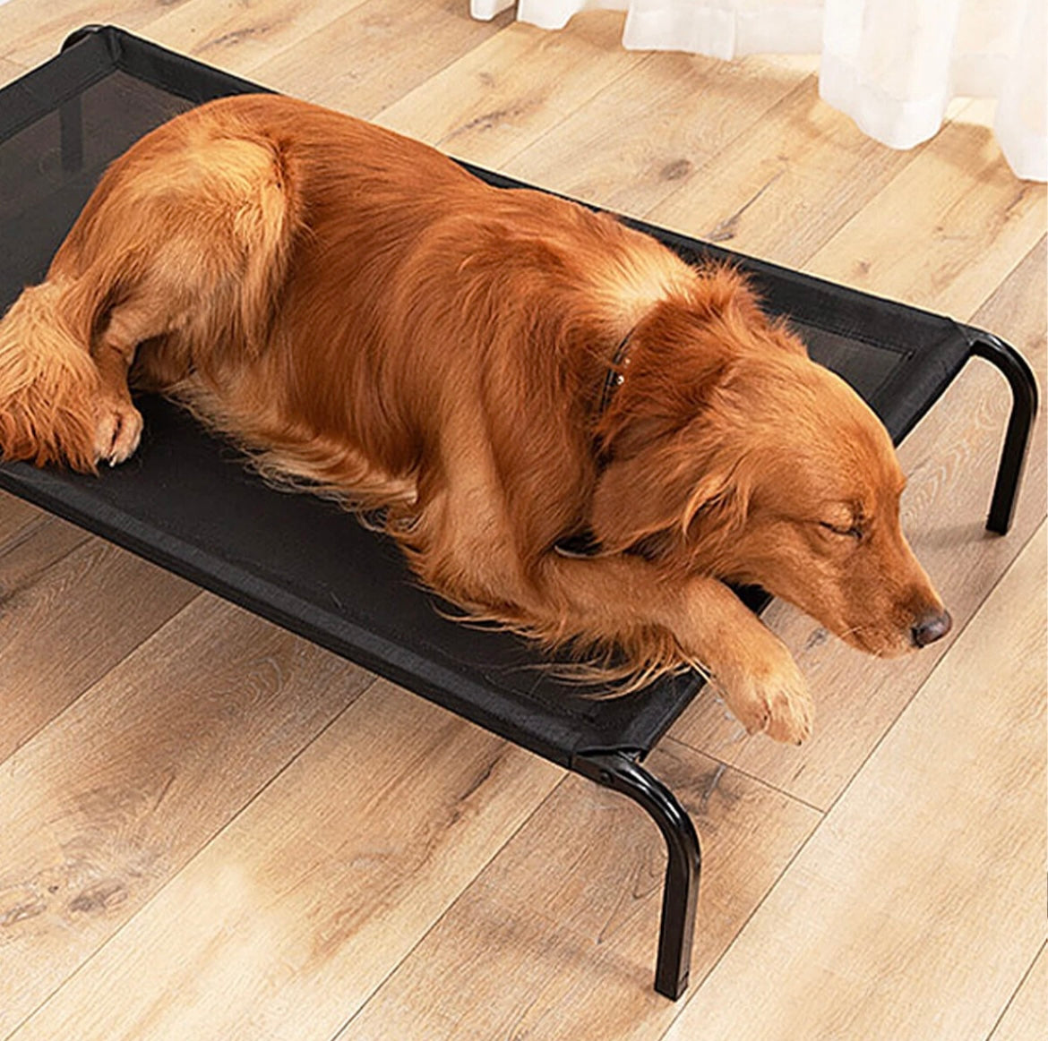 Heavy Duty Raised Dog Bed