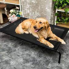 Heavy Duty Raised Dog Bed