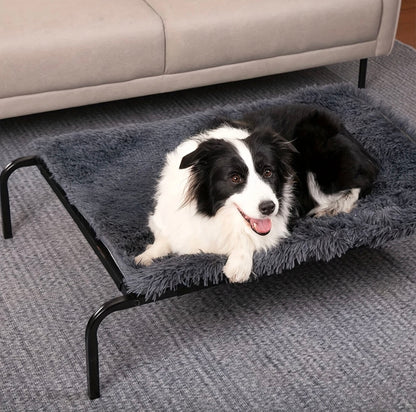Heavy Duty Raised Dog Bed