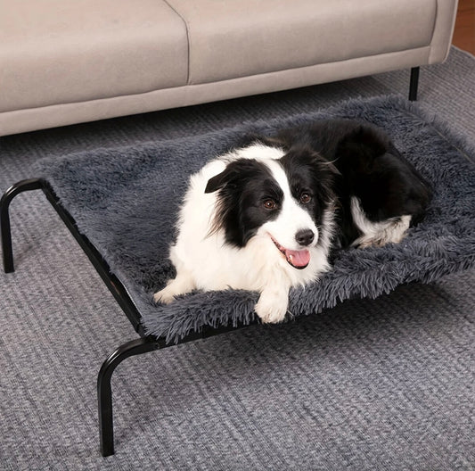 Heavy Duty Raised Dog Bed